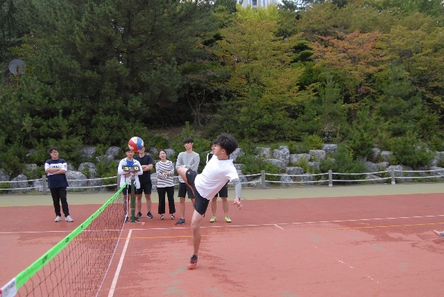 DSC_1487.JPG